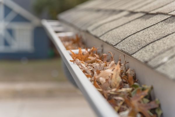 Professional Leaf Barrier Installation